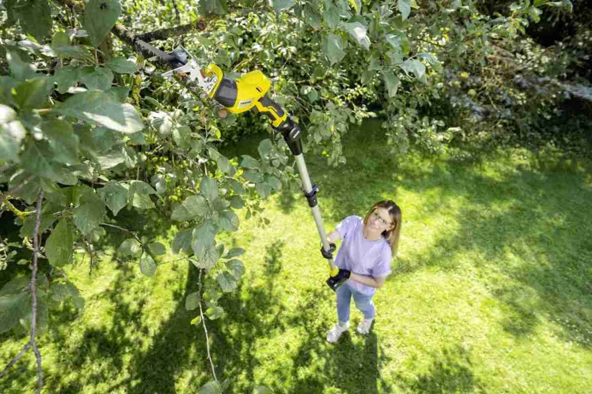 Produktvorstellung Neue 18-Volt-Akku-Astsäge PGS 4-18 von Kärcher - News, Bild 1