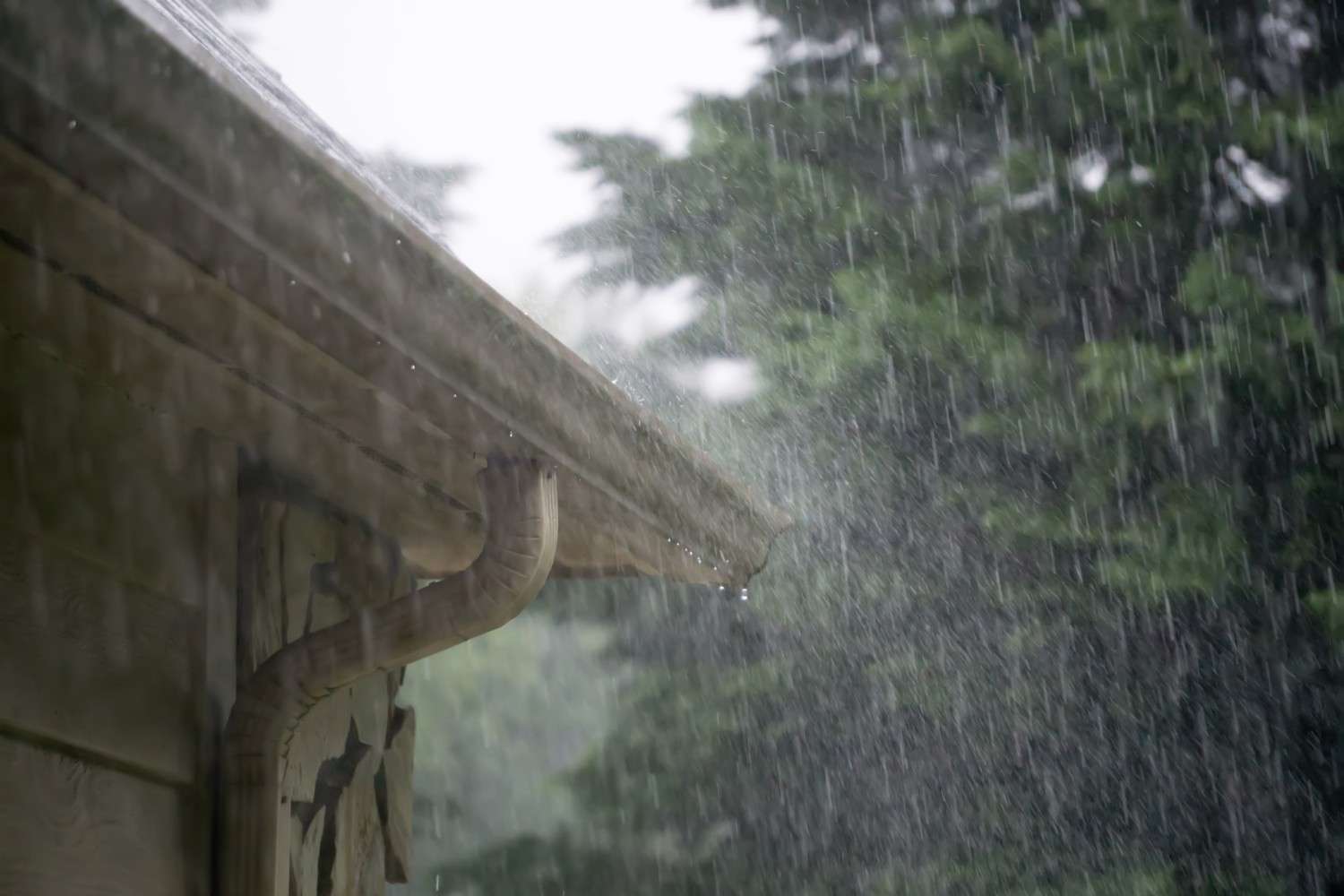 Verstopfte Regenrinne: So geht es Laub, Ästen und Co. an den Kragen