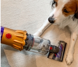 Marke: Dyson Neue Dyson-Bürstentechnologie und -Staubsaugeraufsätze - Für Haustiere und Möbel, Bild 1 Haushaltsgeräte Neue Dyson-Bürstentechnologie und -Staubsaugeraufsätze - Für Haustiere und Möbel - News, Bild 1