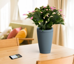 Haussteuerung Intelligenter Blumentopf Parrot Pot gießt Pflanzen automatisch und überwacht Wachstum - News, Bild 1