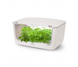 Haussteuerung Kräuter und Gemüse in der Küche anbauen: Smart Indoor Garden von Klarstein - News, Bild 1