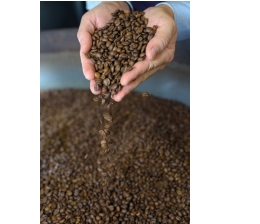 Marke: Special: Die Welt des Kaffees, Bild 1 Nahrungsmittel Special: Die Welt des Kaffees - News, Bild 1