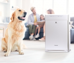 Panasonic Panasonic reinigt die Luft - Auch Feinstaub soll es an den Kragen gehen, Bild 1 Haushaltsgeräte Panasonic reinigt die Luft - Auch Feinstaub soll es an den Kragen gehen - News, Bild 1