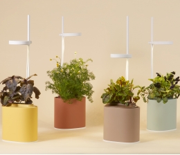 Produktvorstellung Für Hobbygärtner: Kleine Indoor-Gärten für den Schreibtisch mit Pflanzenkapsel - News, Bild 1