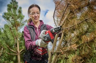 Produktvorstellung Für Rück- und Formschnitte im Garten: Neue Akku-Astkettensäge von Einhell - News, Bild 1