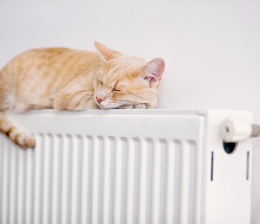 Ratgeber Alte Heizkörperthermostatventile ersetzen, den Energieverbrauch senken, Bild 1 Ratgeber Alte Heizkörperthermostatventile ersetzen, den Energieverbrauch senken - News, Bild 1