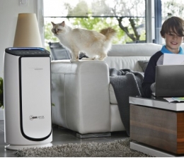 Rowenta Neuer Raumluftreiniger von Rowenta - Stimmungslicht, Infrarot- und Gassensor, Bild 1 Haushaltsgeräte Neuer Raumluftreiniger von Rowenta - Stimmungslicht, Infrarot- und Gassensor - News, Bild 1
