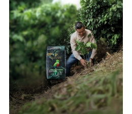 Ratgeber Tchibo Privat Kaffees – Genuss mit Herz und Verantwortung    - News, Bild 1