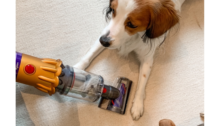 Haushaltsgeräte Neue Dyson-Bürstentechnologie und -Staubsaugeraufsätze - Für Haustiere und Möbel - News, Bild 1