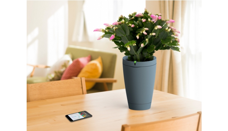 Haussteuerung Intelligenter Blumentopf Parrot Pot gießt Pflanzen automatisch und überwacht Wachstum - News, Bild 1
