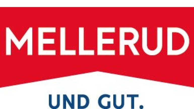 Marke: Für klare Scheiben und gegen Insektenreste und Vogelkot: Spezialreiniger von Mellerud, Bild 1 Produktvorstellung Für klare Scheiben und gegen Insektenreste und Vogelkot: Spezialreiniger von Mellerud - News, Bild 1