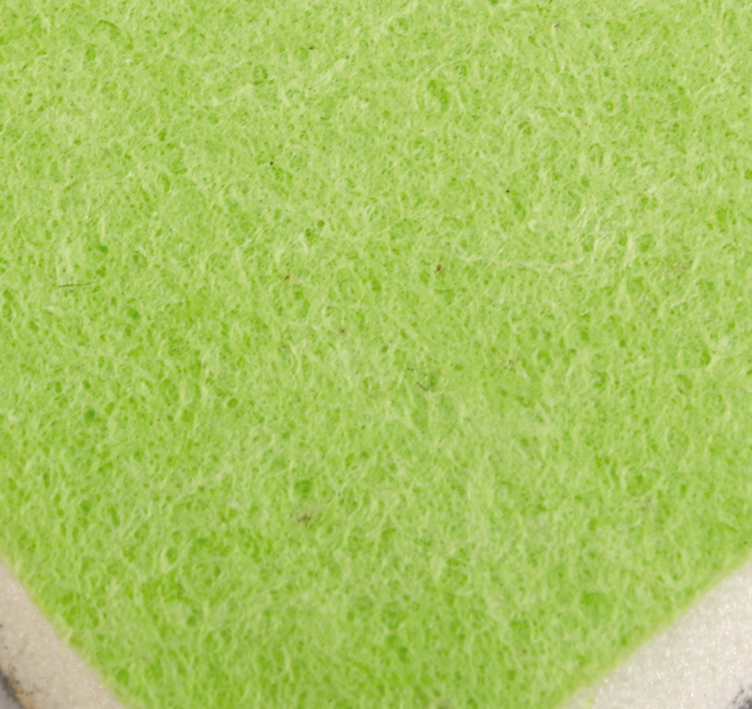 Die grüne (Putz-)Kraft: Abrazo CeraGlanz Die grüne Kraft, Bild 3 Sonstige Haushaltshilfe Abrazo CeraGlanz Die grüne Kraft im Test, Bild 3