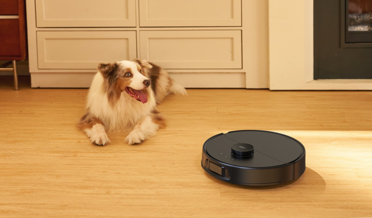 Wisch- und Saugroboter Tapo RV50 Pro Omni im Test, Bild 5