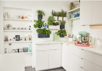 Einzeltest: Lechuza Green Wall Home Kit
